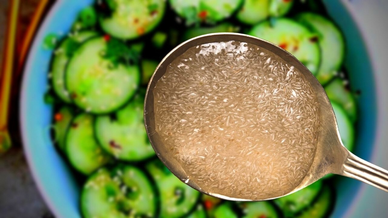 Salate sa krastavcem